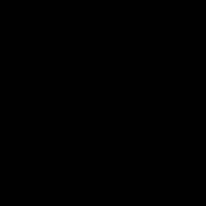 Vanessa added a photo of their purchase