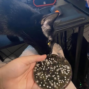 Radon added a photo of their purchase
