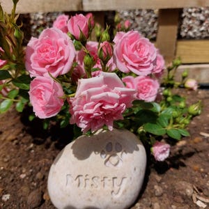 Mary added a photo of their purchase