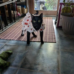 Dreamy Strawberry Tulle Glitter Dress for Dog Cat Rabbit - Etsy