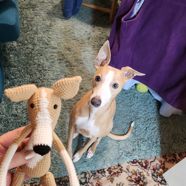 Greyhound Plush Whippet Italian Greyhound Stuffed Dog Dog Lover Etsy