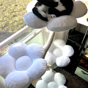 Tricia hat ein Foto des gekauften Artikels hinzugefügt