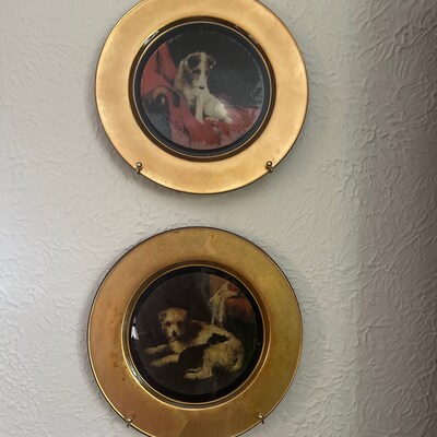 Aazon.co: Brass Set Of 6 Plate Hangers, Displays Plates On Wall Size