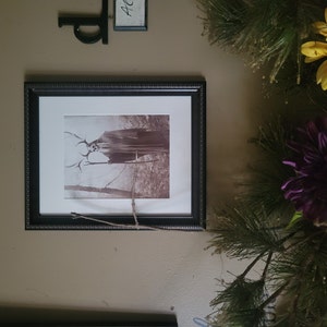 Dan added a photo of their purchase