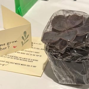 Marlen adicionaram uma foto da sua compra