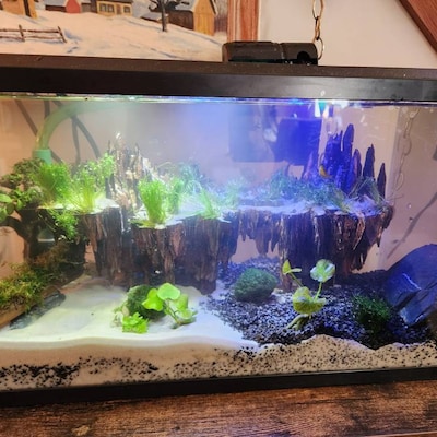 Bonsai Driftwood Aquarium Tree Aquascape Hardscape Real Drift Wood for ...