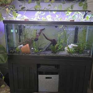 Stephen added a photo of their purchase
