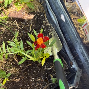 CA さんが購入した商品の写真を追加しました