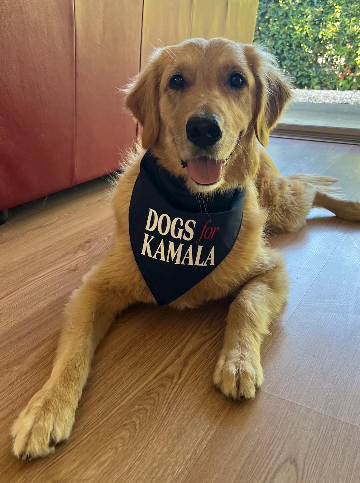 Dogs For Kamala Tie-On Dog Bandana | kamala dog bandana | dog mom for kamala | kamala dog clothes | kamala dog shirt | kamala for president