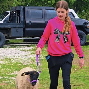 LAMB HALTER | "Duo" | stock show | show lamb |