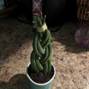 Shelly added a photo of their purchase