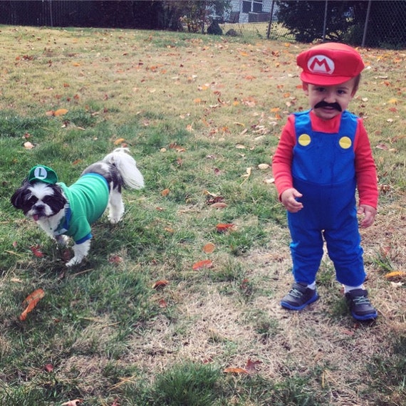 Customer photo of a pet with the Hat green red for small pet Cat Dog Hedgehog