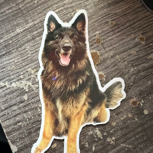 Beezer added a photo of their purchase