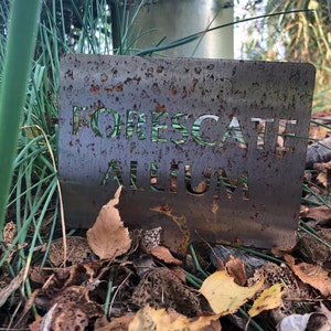 Holly added a photo of their purchase