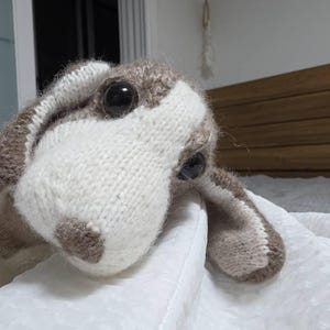 JISEON heeft een foto van de aankoop toegevoegd