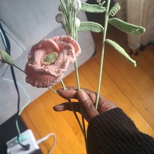 Malika heeft een foto van de aankoop toegevoegd