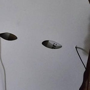 SANCTUSS added a photo of their purchase