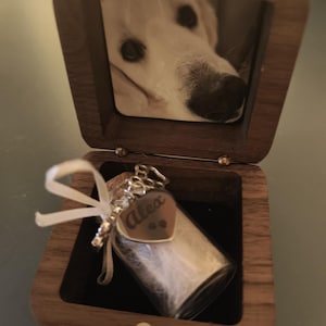 Aspen adicionaram uma foto da sua compra