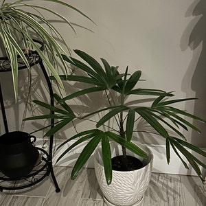 Justine added a photo of their purchase