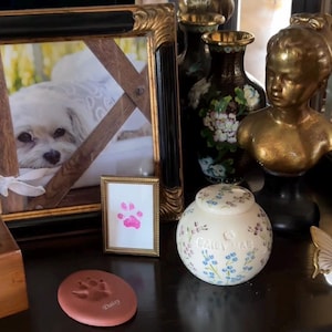 Janus added a photo of their purchase