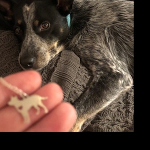 Jordie added a photo of their purchase