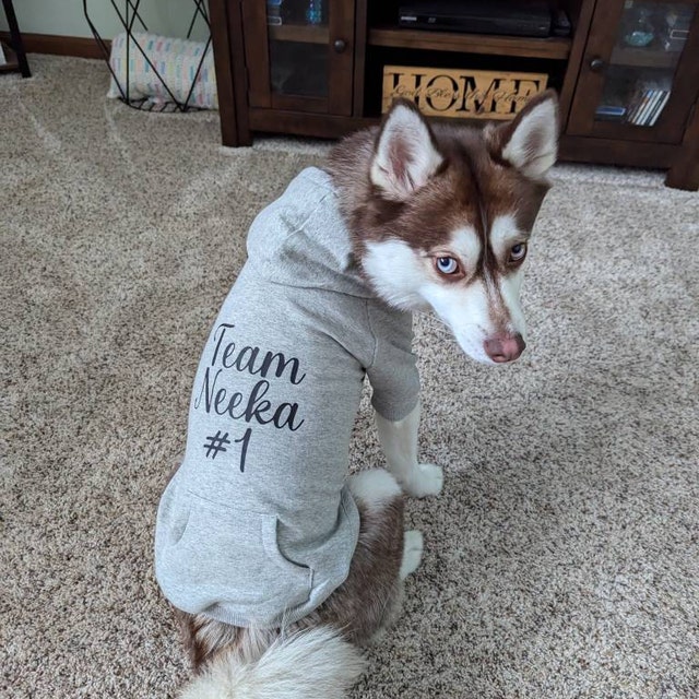 Dog Clothes Husky: Stylish Outfits for Your Furry Friend