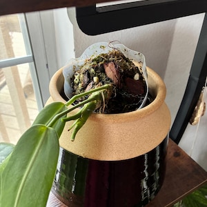 Tracy added a photo of their purchase