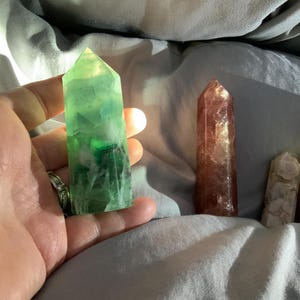 Tammy added a photo of their purchase