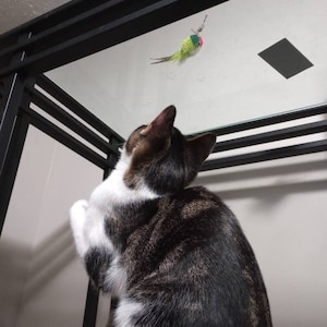 Janet added a photo of their purchase