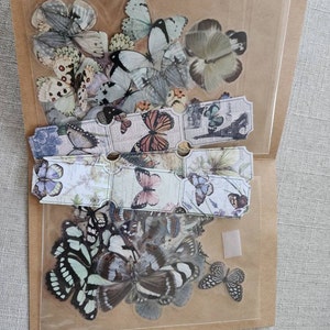 Nadia added a photo of their purchase