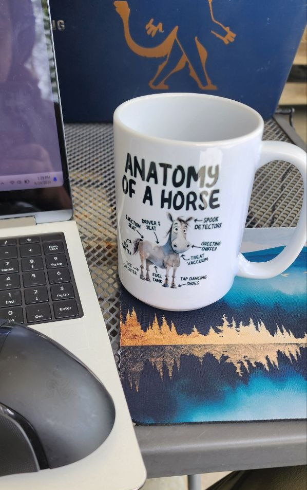 Anatomy of a Horse Mug, Funny Horse Gifts, Horse Lover Coffee Cup, Cute Cartoon Sarcastic Meme Graphic Birthday Present for Dad Mom