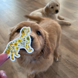 Demi ha añadido una foto de su compra
