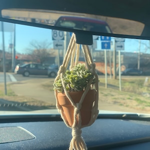 Madison added a photo of their purchase