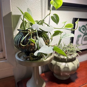 Stef added a photo of their purchase