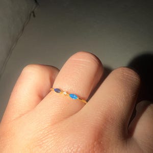 Lindsey added a photo of their purchase