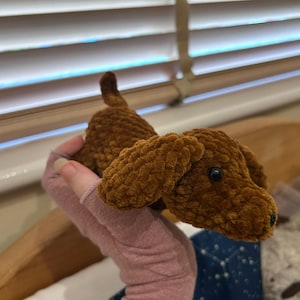 Maddy added a photo of their purchase