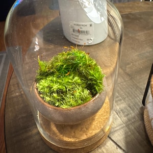 A hat ein Foto des gekauften Artikels hinzugefügt