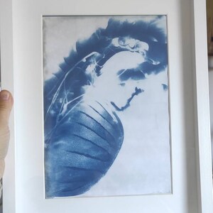 Alexandra added a photo of their purchase