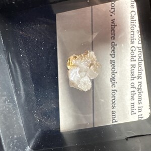 Elizabeth added a photo of their purchase