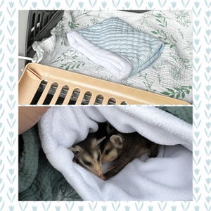 Katy added a photo of their purchase