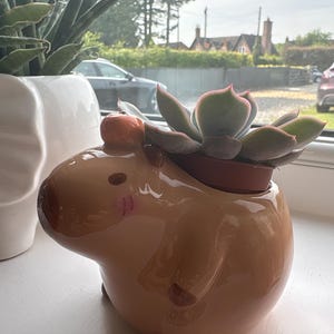 Simon heeft een foto van de aankoop toegevoegd