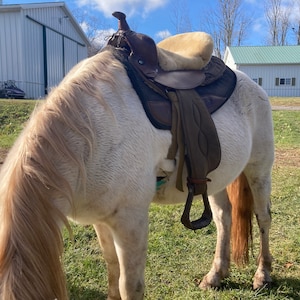 Amanda added a photo of their purchase