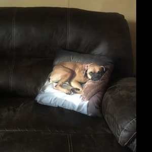 Allison added a photo of their purchase