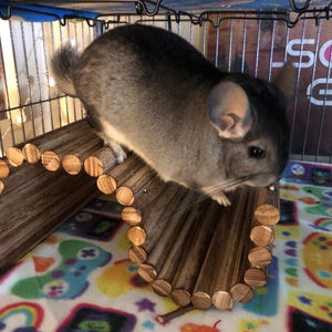 Laura added a photo of their purchase