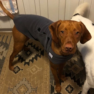 vizsla sweater