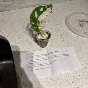 Robert added a photo of their purchase