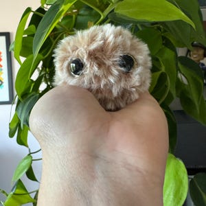 Michelle added a photo of their purchase
