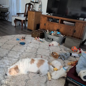 Gloria added a photo of their purchase