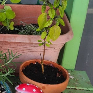 Wyn added a photo of their purchase