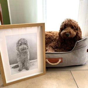 Doreen added a photo of their purchase